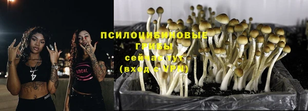 кокс Абаза
