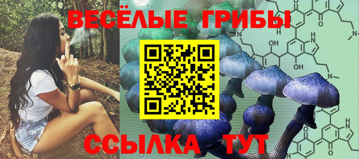 Alpha-PVP СК кристаллы  Марихуана  Cocaine  Вход с VPN  МЕФ  ГАШ  Калининград  Меф МЯУ МЯУ   Cocaine 